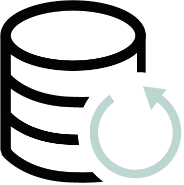 Icon Backup
